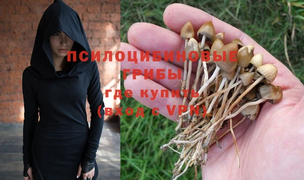 прущая мука Арсеньев